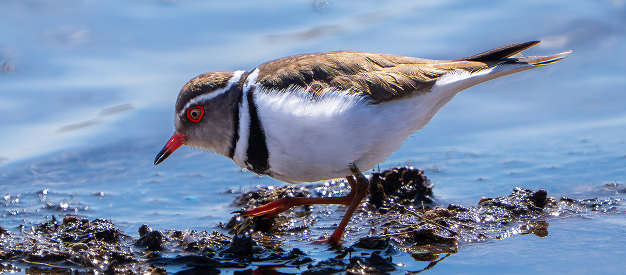 Gaziantep'te tarihi an: Türkiye'nin ilk 
